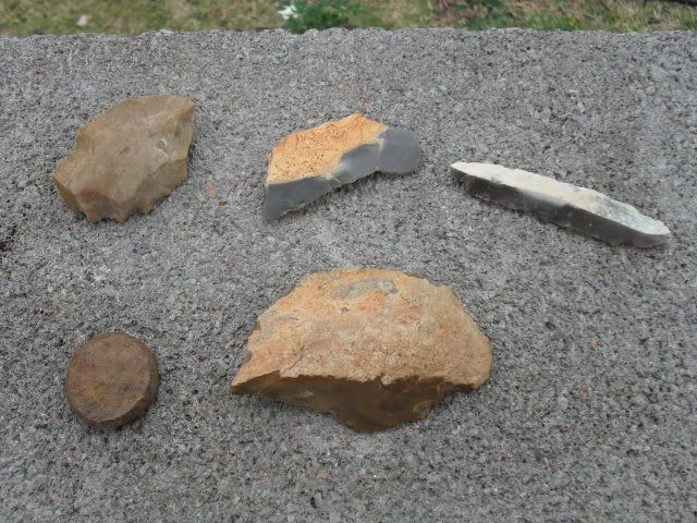 SDC10110.jpg