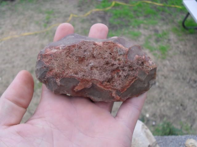 SDC10378.jpg