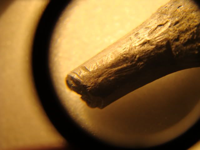 DSC06546.jpg