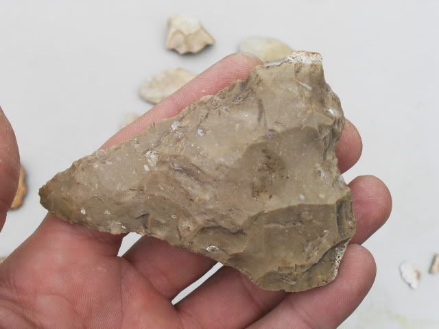 SDC11482.jpg