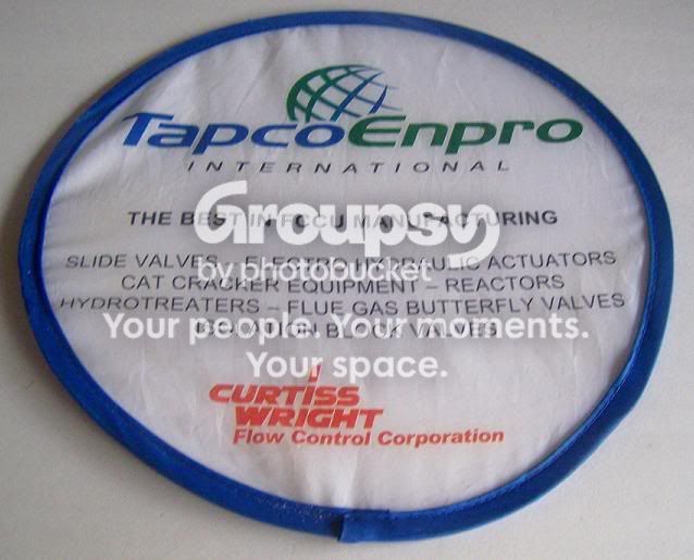 frisbee081309.jpg
