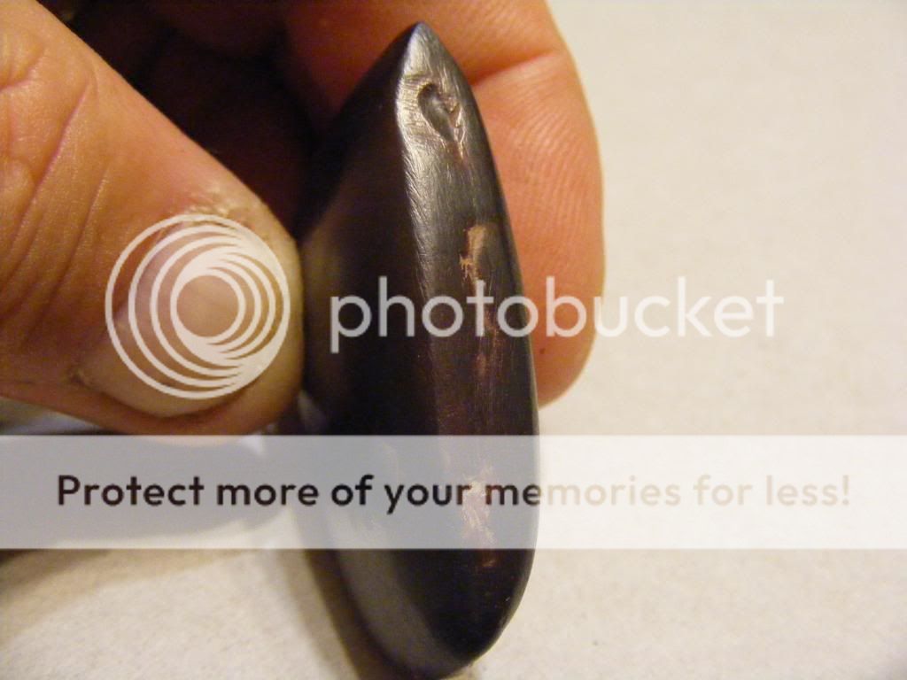2008_1005blacktool0011.jpg