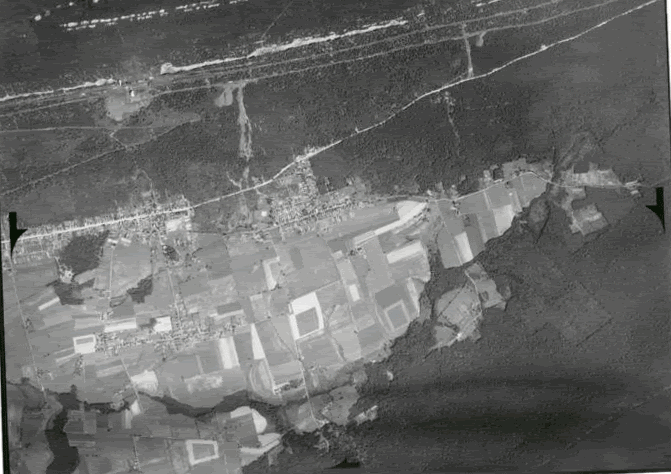 TC1938toLatest.gif