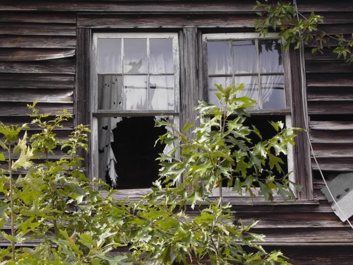 house3.jpg