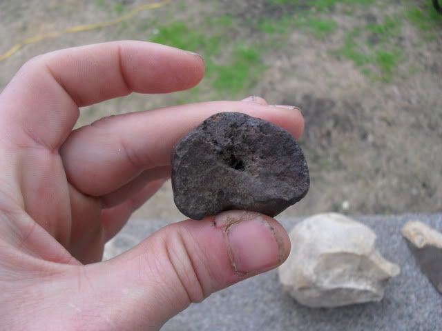 SDC10397.jpg