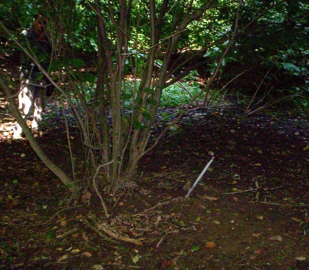 Hunt001.jpg