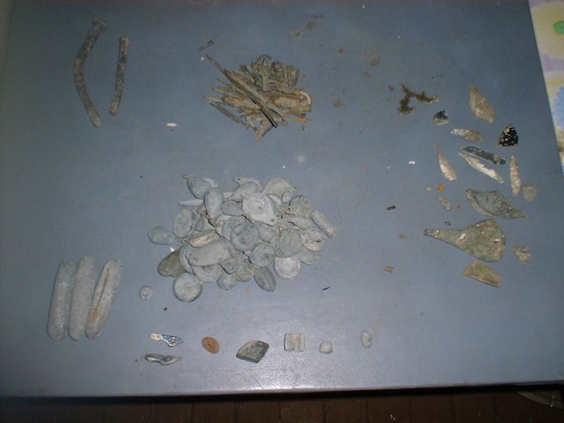 82412beachfinds.jpg