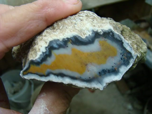 DSC02241.jpg