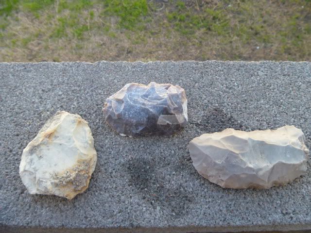 P1010185.jpg