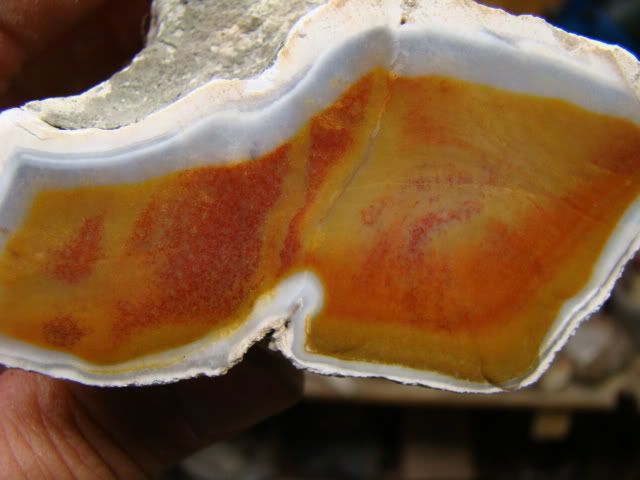 DSC08245.jpg