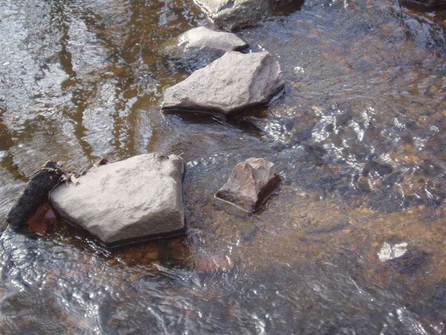CreekThing2.jpg