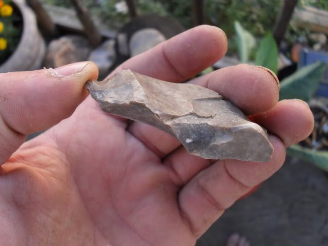 SDC10057.jpg