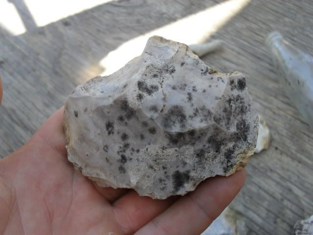 SDC10135.jpg