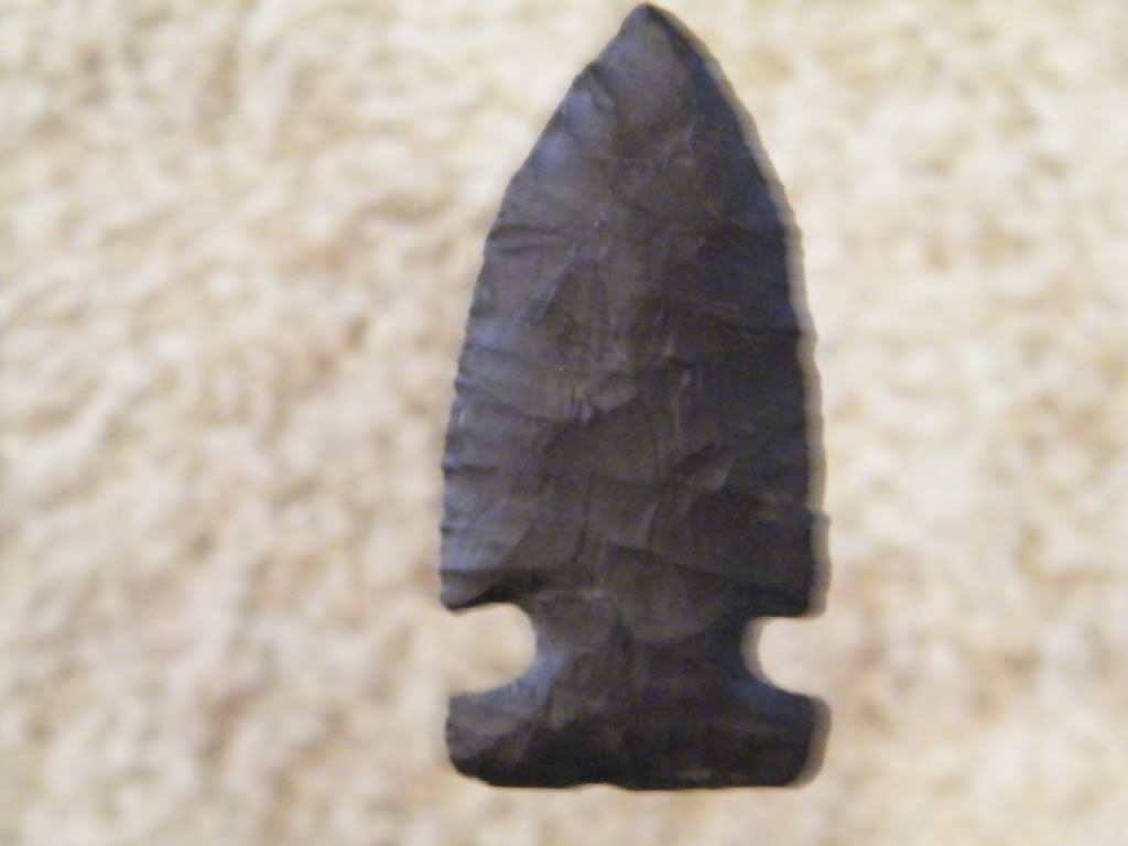 DSCF1685.jpg