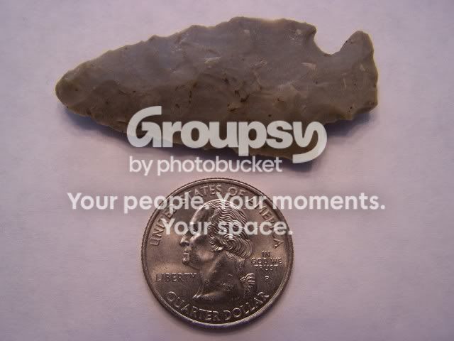 101B4353.jpg