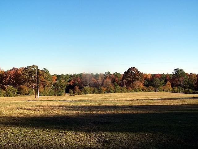 100_9836.jpg