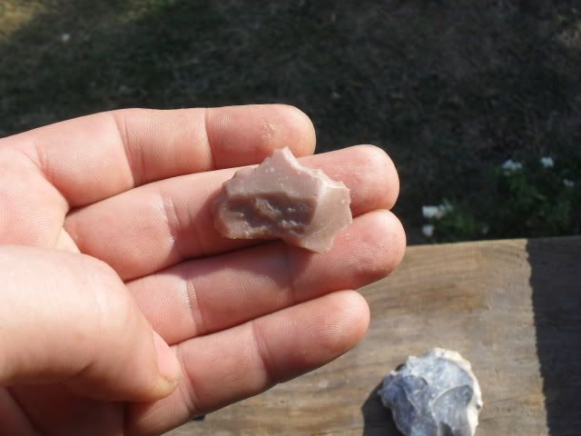 SDC10706.jpg