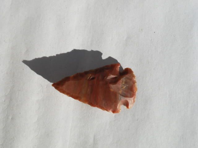 SDC11546.jpg
