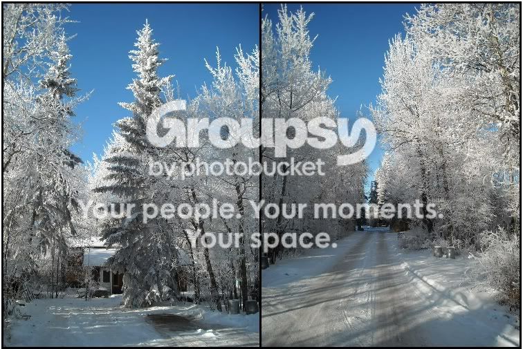 frost.jpg