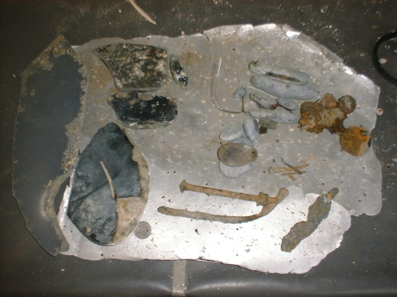 5212beachfinds.jpg