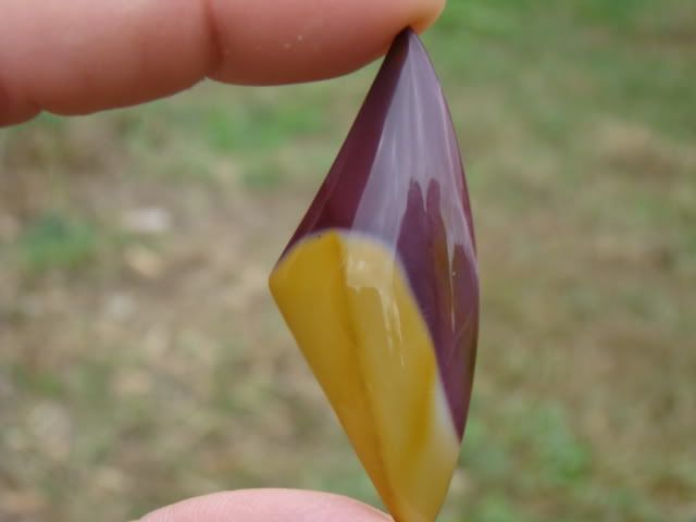 DSC04253-2.jpg