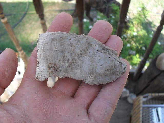 SDC10525.jpg