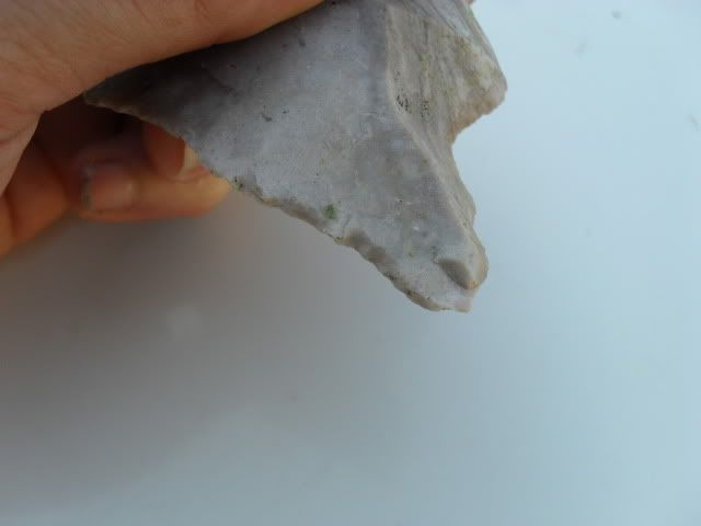SDC10361.jpg