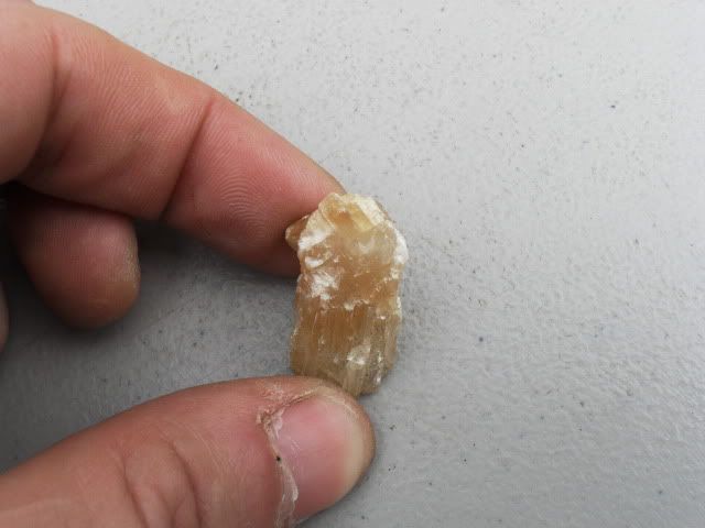 SDC11325.jpg