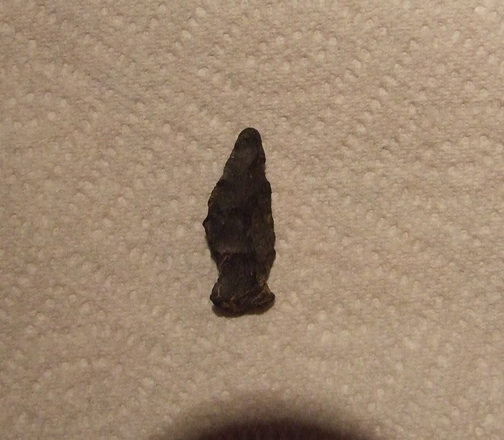 arrowhead001.jpg