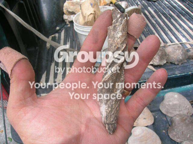 DSCN0867.jpg