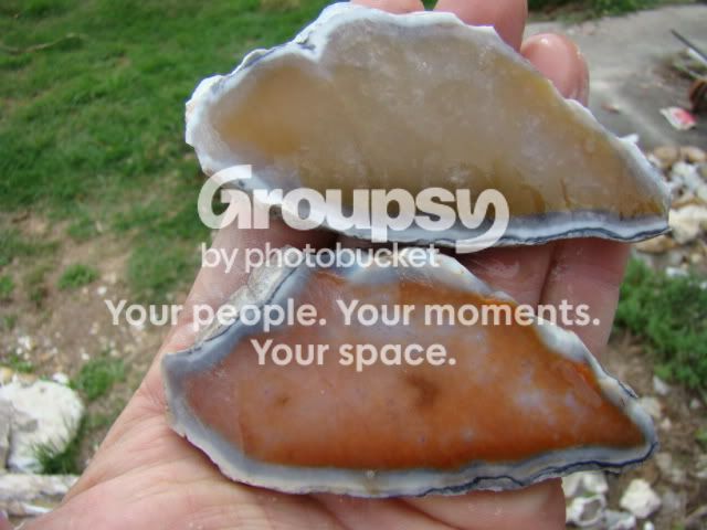 DSC04861.jpg