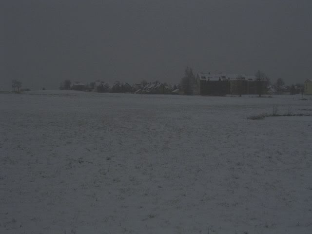 28Jan12Field.jpg