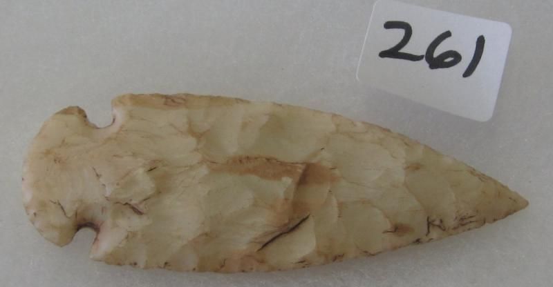 arrowhead4_zpsa9648ee3.jpg