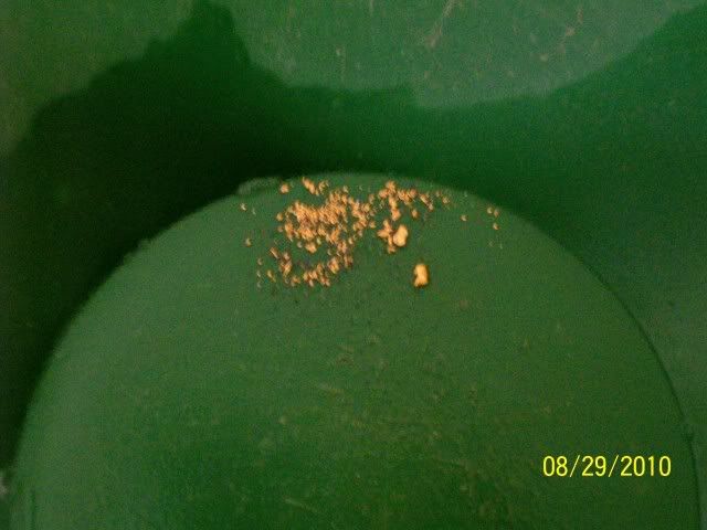8-26-10.jpg