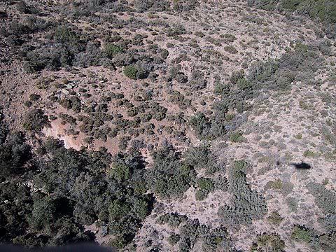 AirViewDetectorS_.jpg