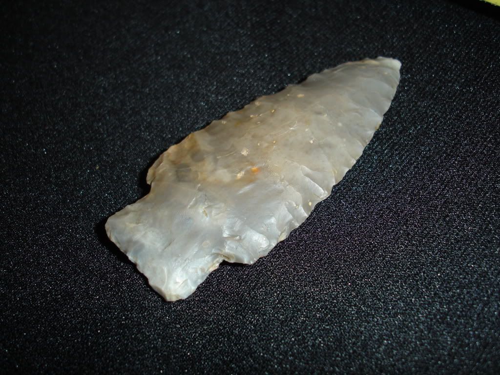DSC01310.jpg
