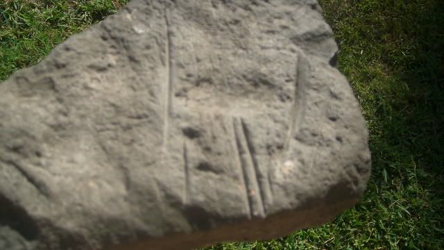 DSCI0030.jpg