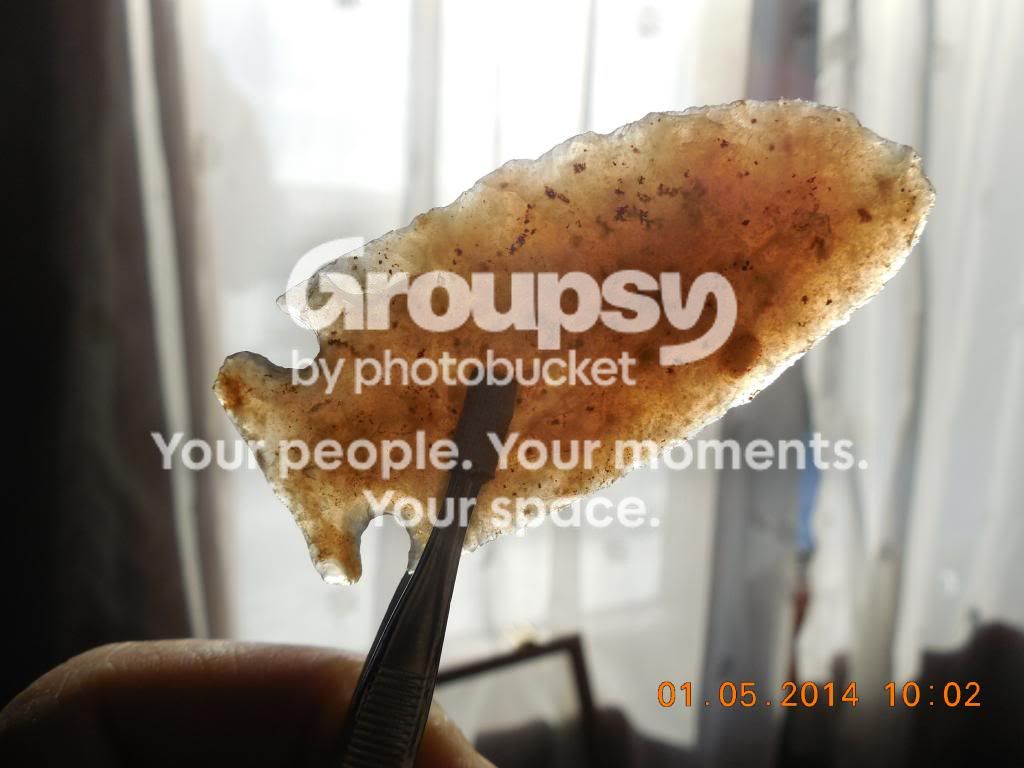 DSCN3654.jpg