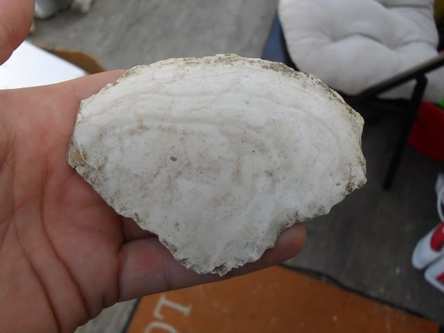 SDC10555.jpg