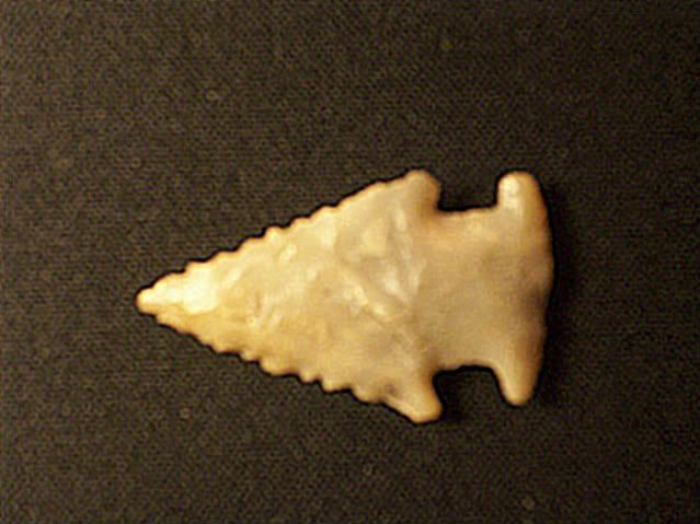 100_1724-1.jpg