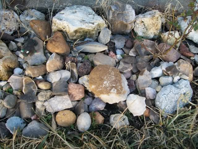 100_0514.jpg