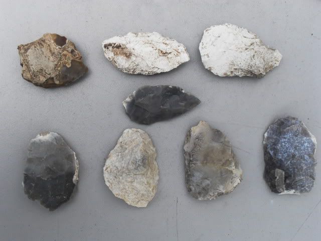 SDC11383.jpg