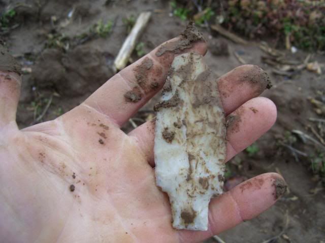 100_1139.jpg