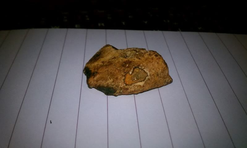 IMAG0185.jpg