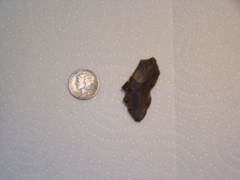 DSC00276.jpg