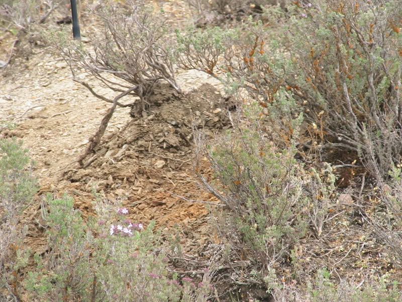 October2011011.jpg