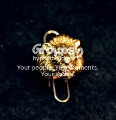 goldlion.jpg