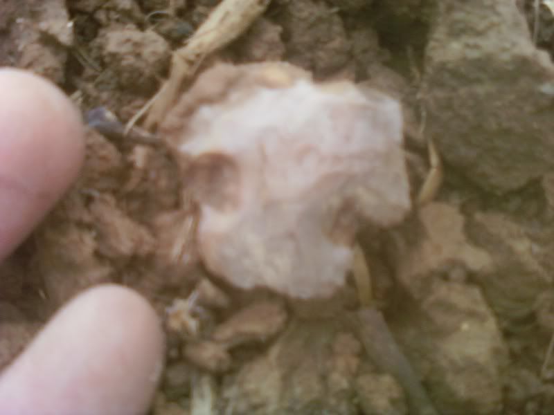 img1272676374239.jpg