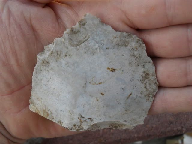 SDC10517.jpg