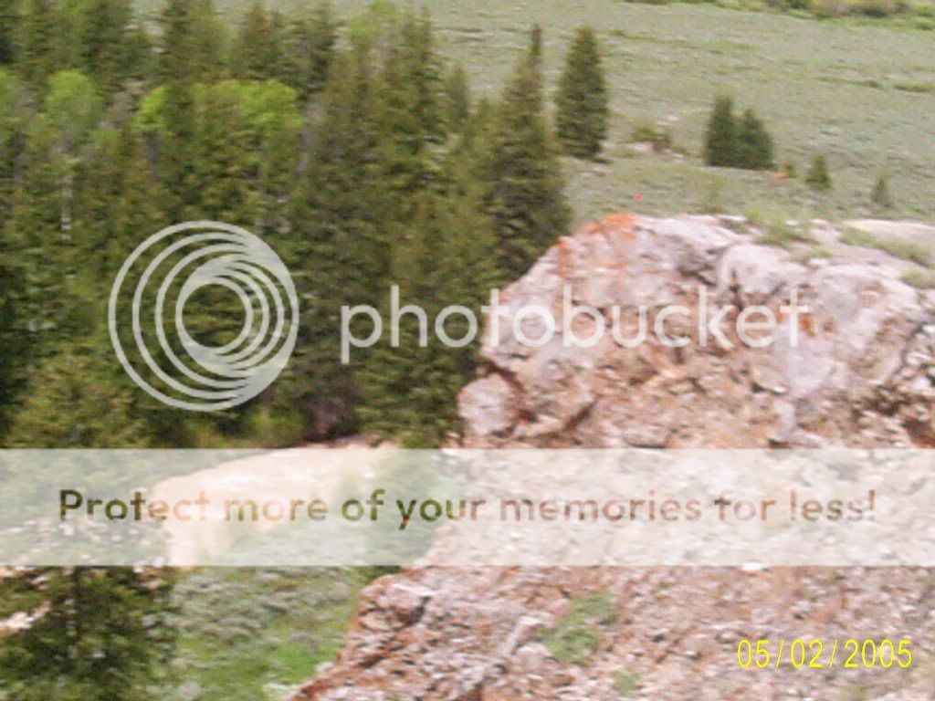 S4020028.jpg